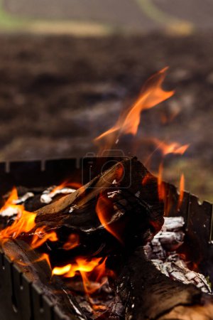 Foto de Quemando troncos en la barbacoa, calor, fuego, fuego, cenizas. Paisaje rural otoñal, macrofotografía. Fondos de pantalla de fotos de otoño - Imagen libre de derechos