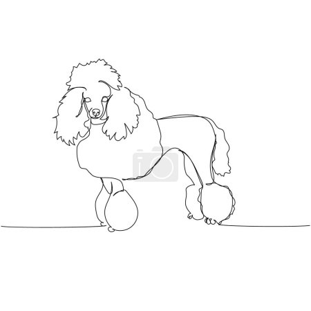 Poodle dog breed, companion dog one line art. Continuous line drawing of friend, dog, doggy, friendship, care, pet, animal, family, canine. Hand drawn vector illustration