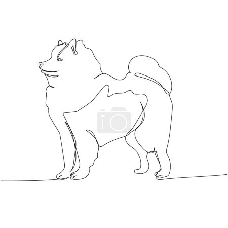 Samoyed, chien de traîneau, race autochtone, chien de compagnie une ligne art. Dessin en continu de l'ami, chien, chien, amitié, soins, animal, animal, famille, canin Illustration vectorielle dessinée à la main