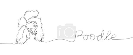 Poodle dog breed, companion dog one line art. Continuous line drawing of friend, doggy, care, pet, animal, family, canine with inscription, lettering, handwritten. Hand drawn vector illustration
