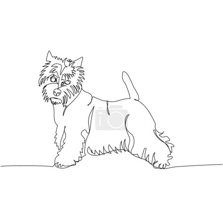 Ilustración de West Highland White Terrier, Westie, raza de perros escoceses, perro de caza una línea de arte. Dibujo continuo de línea de amigo, perrito, amistad, cuidado, mascota, familia, canino. Ilustración vectorial dibujada a mano - Imagen libre de derechos