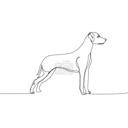 Ilustración de Dálmata, raza de perro, perro compañero una línea de arte. Dibujo continuo de línea de amigo, perro, perrito, amistad, cuidado, mascota, animal, familia, canino ilustración vector dibujado a mano - Imagen libre de derechos
