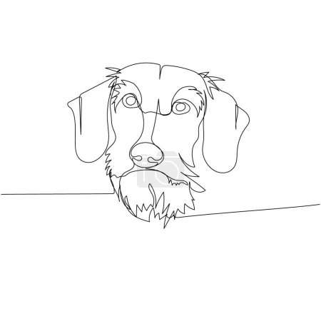 Dachshund hard-coated, Wire Haired, Teckel, dog breed, companion dog, hunting dog one line art. Continuous line drawing of friend, dog, care, pet, animal, family, canine Hand drawn vector illustration