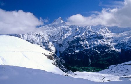 Schreckhorn et le glacier Upper Grindelwald près de Grindelwald, Suisse, Europe