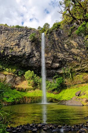 Wall of columnar basalt with waterfall Bridal Veil Falls, tropical vegetation, Pakoka River, Makomako, Waikato, North Island, New Zealand, Oceania