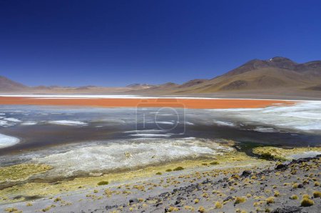 Play of colours of the Laguna Colorada, Reserva Nacional de Fauna Andina Eduardo Abaroa, Altiplano, Sur Lpez, Bolivia, South America 
