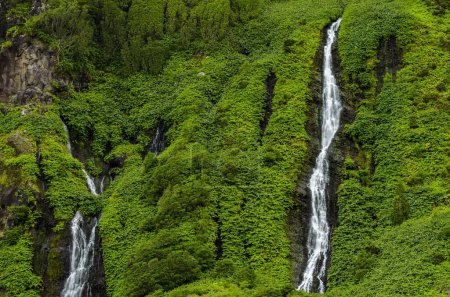 Cascada Poo Ribeira do Ferreiro en paisaje verde, Poco da Alagoinha, Fajzinha, Isla Flores, Azores, Portugal, Europa 