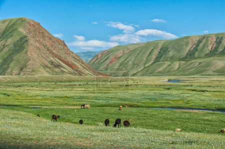 Troupeau de moutons broutant le long d'une rivière de montagne, gorge de Naryn, région de Naryn, Kirghizistan, Asie