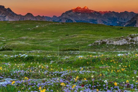Panorama de montaña al amanecer con prado de flores en primer plano, Prato Piazza, Dolomitas, Parque Nacional de Fanes, Dobbiaco, Italia, Europa 