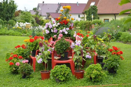 Jardín de flores en verano, jardín en casa