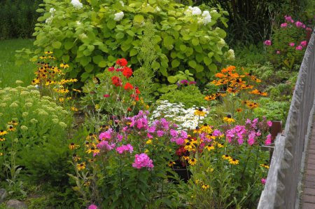 Baden-Wrttemberg, Black Forest Cottage garden, perennial garden, various garden flowers 