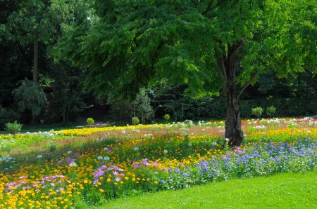 Stuttgart: Killesberg, Blumenbeete im Sommer