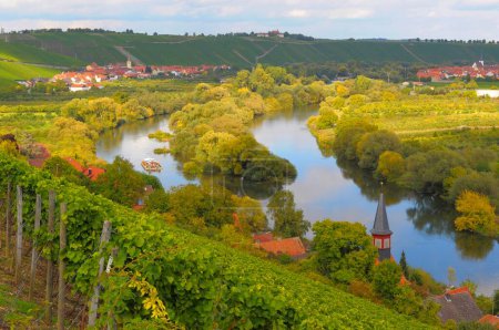 Bavaria, Franconia, Franconian country, Escherndorf Altmain, vineyards near Escherndorf