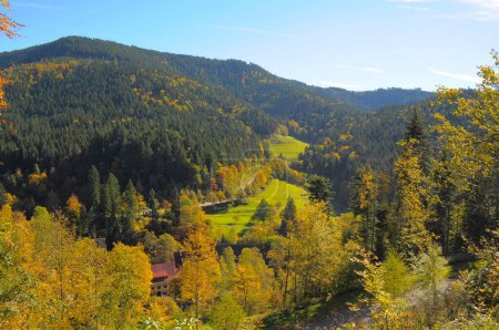 Schwarzwald bei Allerheiligen im Herbst, bunter Herbstwald