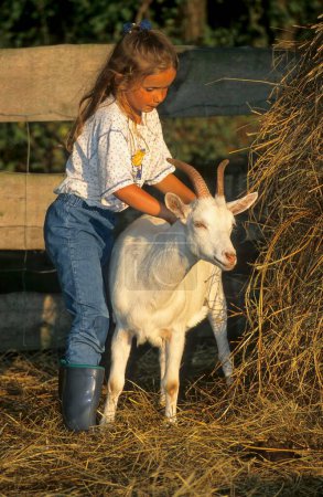 Girl with white goat in stable