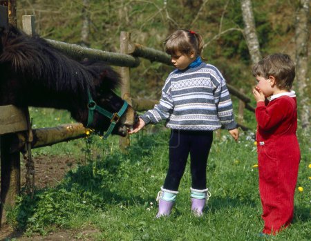 Small children playing with Shetland pony
