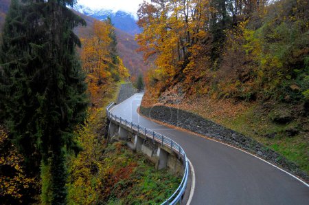 Suiza, Ticino, línea de vía estrecha Locarno, Domodossola, Centovalli, ferrocarril, Cien valles, carretera rural, paisaje otoñal, Europa 