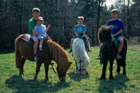 Children riding on ponies
