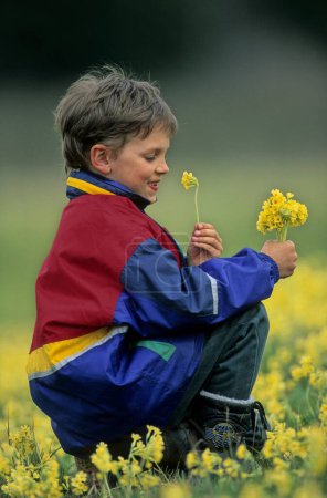 Boy in meadow with primroses