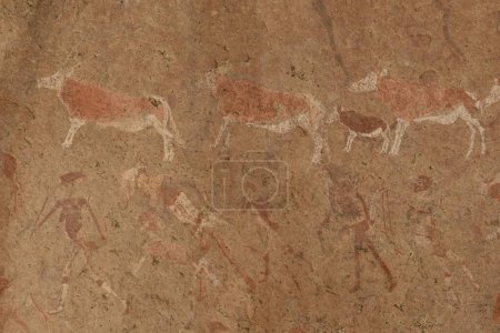 Rock paintings, Tsisab gorge, Brandberg, Erongo region, Namibia, Africa