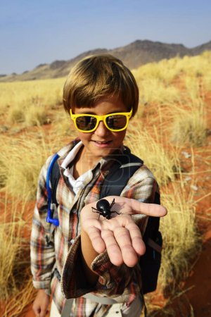 Boy holds a black beetle in the hand, Namib Desert beetle (Onymacris unguicularis), NamibRand Nature Reserve, Namib Naukluft Park, Namibia, Africa