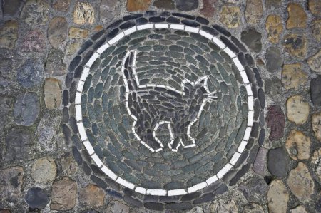 Cat, a stone mosaic in front of a pet shop, Freiburg, Baden-Wuerttemberg, Germany, Europe
