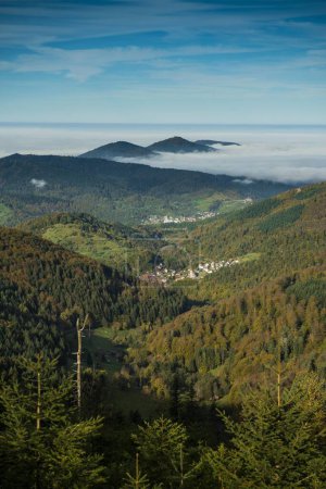 Panoramic view of the Murgtal valley, Black Forest, Baden-Wrttemberg, Germany, Europe 