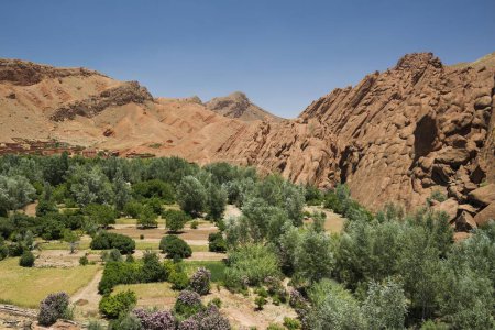 Oase in der Dades-Schlucht, Dades-Tal, Boumalne-du-Dades, Marokko, Afrika
