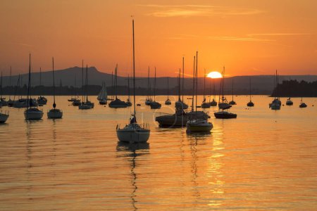 Sailing boats on Untersee, sunset, Allensbach, Lake Constance, Baden-Wrttemberg, Germany, Europe 