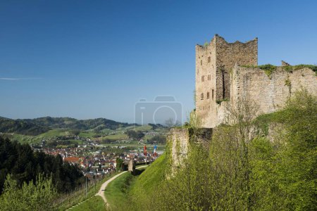 Ruine Neu-Schauenburg castle ruins, Oberkirch, Ortenau, Black Forest, Baden-Wrttemberg, Germany, Europe 