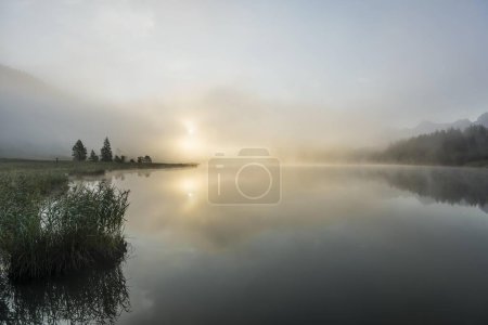 Sunrise and morning mist, Geroldsee or Wagenbrchsee, Germany, Europe 