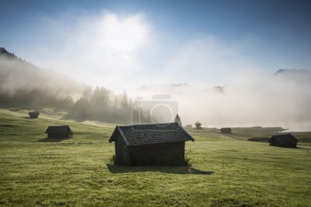 Sunrise and morning mist, meadow Germany, Europe 