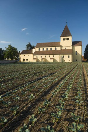 St. George and vegetable fields, Reichenau Island, Lake Constance, Baden-Wrttemberg, Germany, Europe 