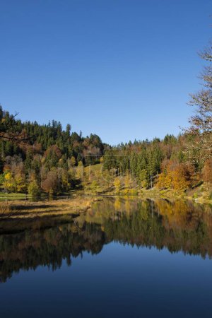 Lago con bosque otoñal, reflexión sobre el agua, Alemania, Europa 