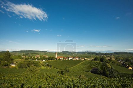 Village viticole et paysage culturel en automne, Burkheim, Vogtsburg im Kaiserstuhl, Baden-Wrttemberg, Allemagne, Europe 