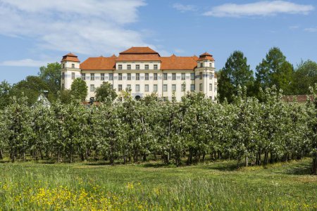 Neues Schloss und blühende Obstbäume, Tettnang, Oberschwaben, Bodenseeregion, Baden-Württemberg, Deutschland, Europa 