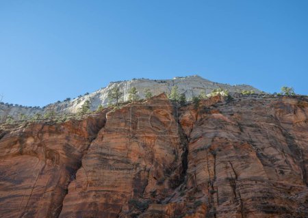Pared de arenisca roja, Angels Landing Trail, paisaje de montaña, Parque Nacional Zion, Utah, Estados Unidos, América del Norte
