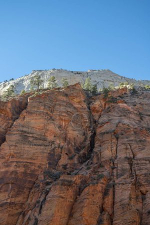 Red sandstone wall, Angels Landing Trail, mountain landscape, Zion National Park, Utah, USA, North America
