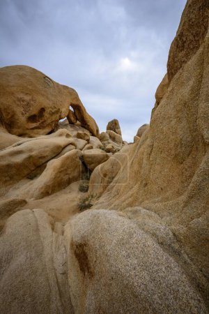 Rock formations, rear left Arch Rock, rock arch, monzogranite formation, Arch Rock Nature Trail, White Tank Campground, Joshua Tree National Park, Palm Desert, California, USA, North America
