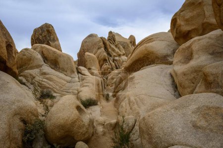 Rock Formations, Monzogranite Formation, Arch Rock Nature Trail, White Tank Campground, Joshua Tree National Park, Palm Desert, California, USA, North America