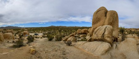 White Tank Campground, rock formations, monzogranite formation, Arch Rock Nature Trail, Joshua Tree National Park, Palm Desert, California, USA, North America