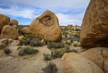 Sculpted Rocks, Rock Formations, Monzogranite Formation, Arch Rock Nature Trail, White Tank Campground, Joshua Tree National Park, Palm Desert, California, USA, North America