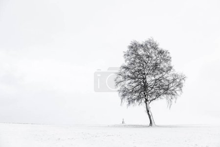Single tree with field cross in winter light landscape