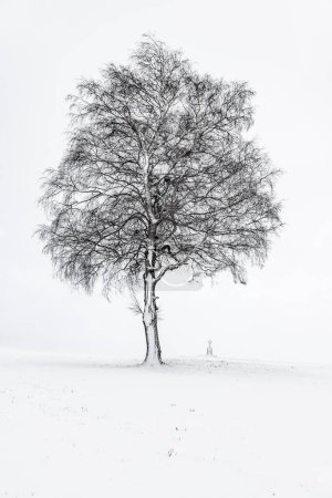 Single tree with field cross in winter light landscape, Unterallgu