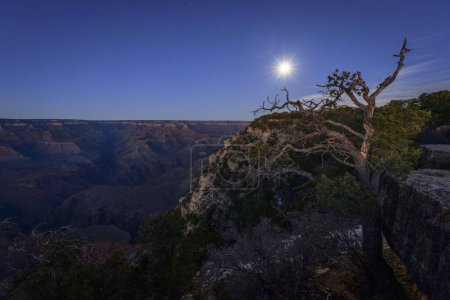 Gorge of the Grand Canyon at moonlight, night scene, view from Yavapai Point, eroded rock landscape, South Rim, Grand Canyon National Park