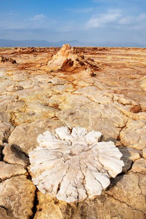 Geothermal area Dallol with sulphur deposits, huge salt efflorescence, salt crystals