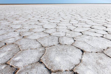 Dried-out surface of the Lake Karum, salt crust