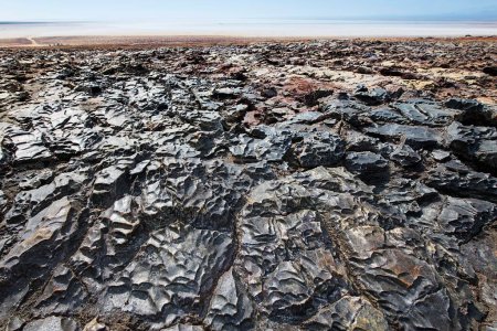 Petrified salt crust, Karumsee, Danakil valley