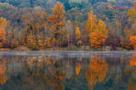 Colourful autumn trees at Pfuhler See, near Neu-Ulm, Bavaria, Germany, Europe