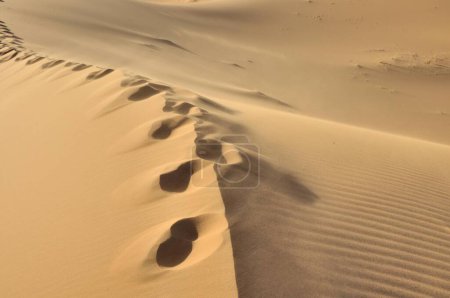 Footprints on sand dune, desert of Erg Chebbi, Morocco, Africa, PublicGround, Africa
